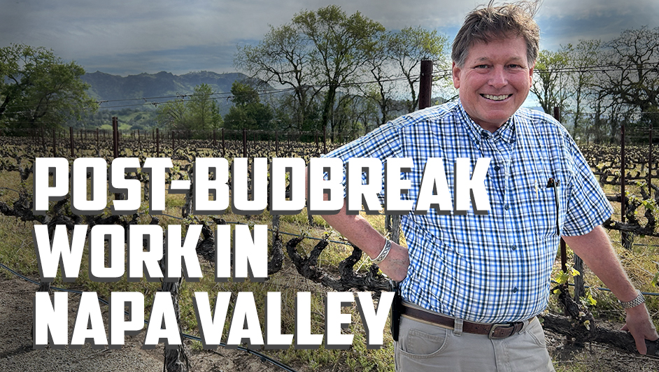2024 Napa Valley Vintage Update from Bennett Lane