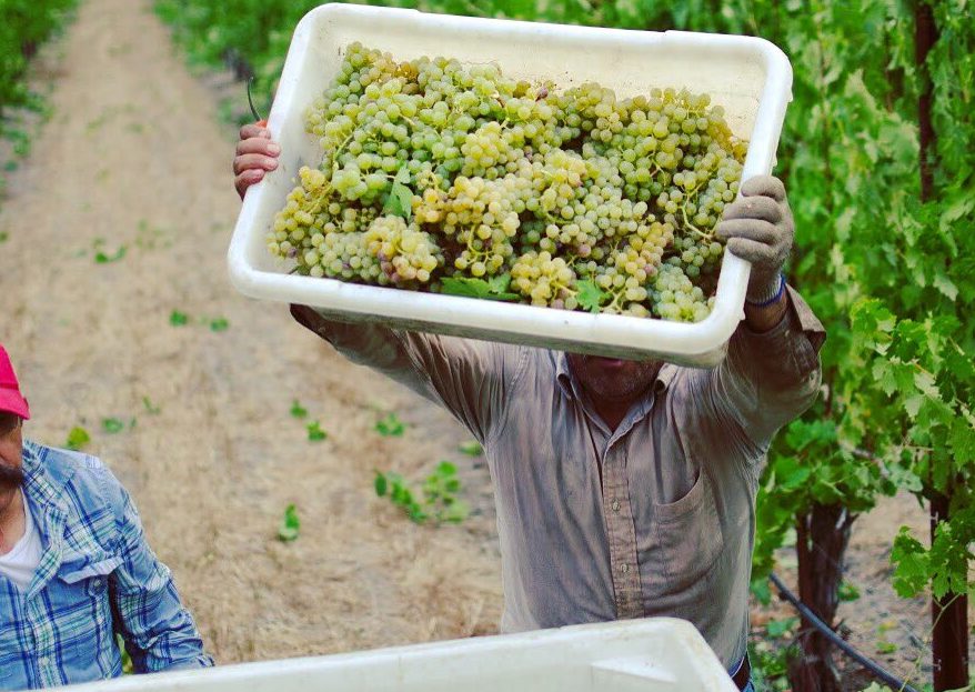 Mother Nature Keeping Us On Our Toes Mother Nature Keeping Us On Our Toes