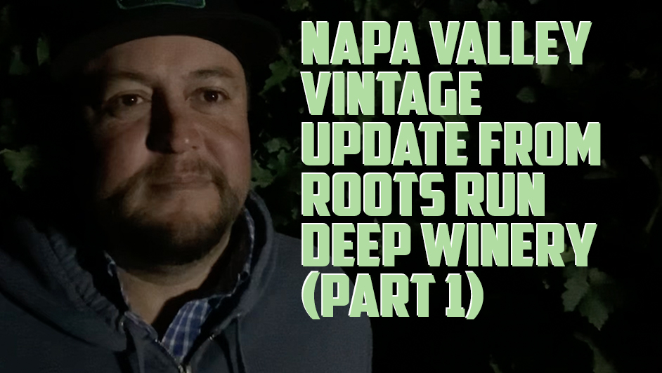 Macario from Roots Run Deep Winery in Napa Valley on harvesting at night Macario from Roots Run Deep Winery in Napa Valley on harvesting at night