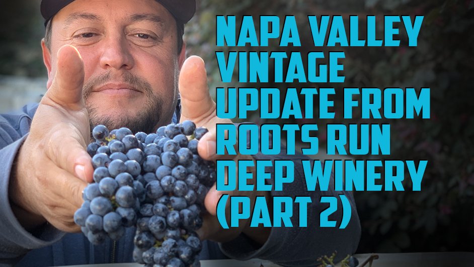 What do smaller berry size and smaller yields mean for Napa Valley in 2021? What do smaller berry size and smaller yields mean for Napa Valley in 2021?