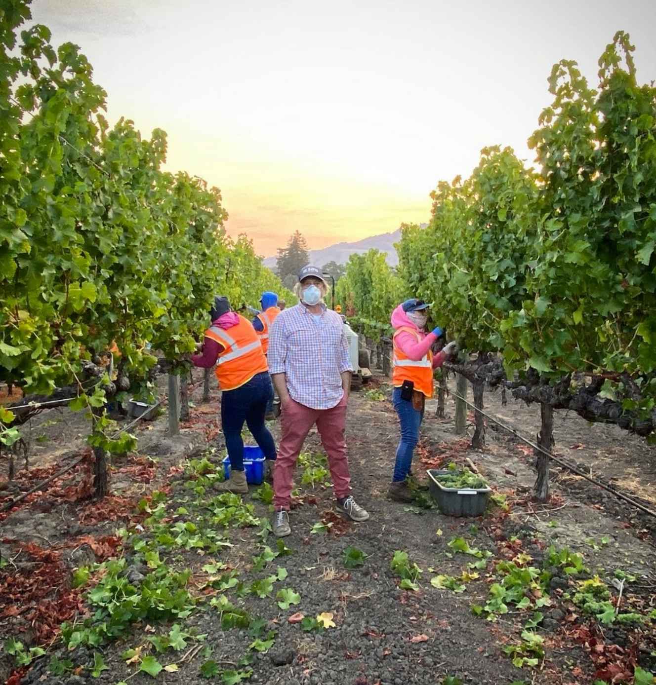 Amid community concerns, Harvest 2020 continues