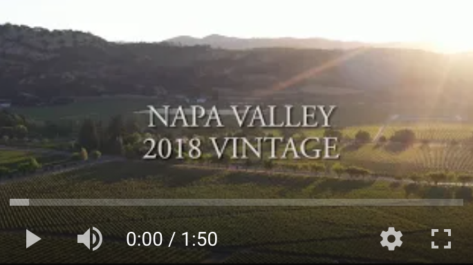 A look back on the 2018 Napa Valley vintage as they hit wine shop shelves around the world A look back on the 2018 Napa Valley vintage as they hit wine shop shelves around the world