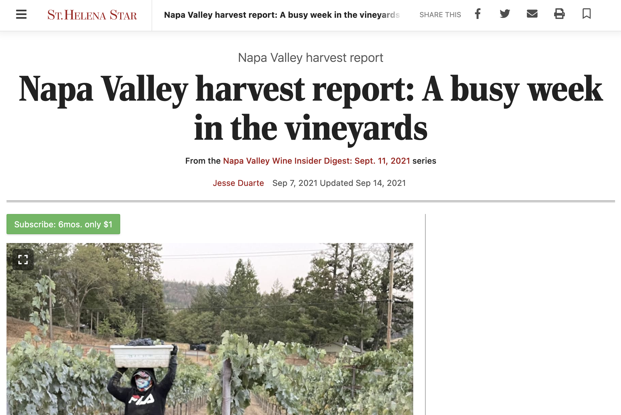 St Helena Star: A busy week in the vineyards