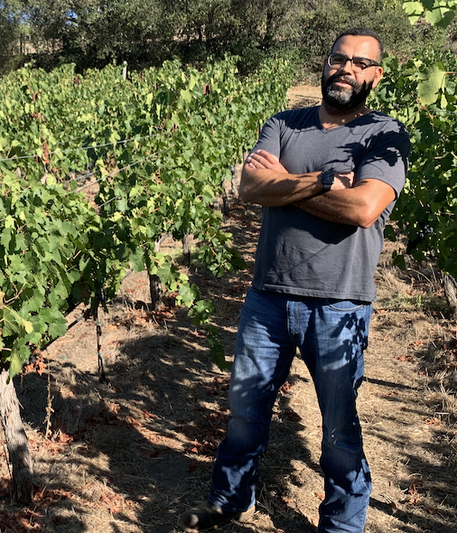 2022 Harvest Update from Quixote Winery’s Robert Smith