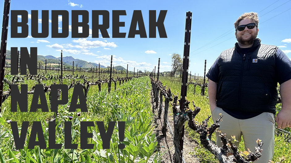 Napa Valley’s 2023 Budbreak with Collin Cranor of Grape Culture