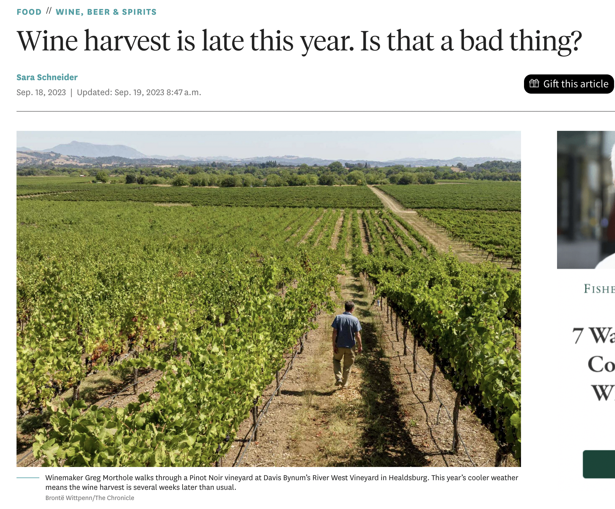 sfchronicle.com: Wine harvest is late this year. Is that a bad thing?