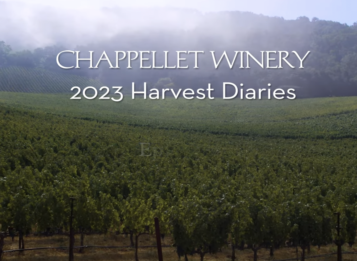 Chappellet Vineyard’s new Harvest Diaries video series