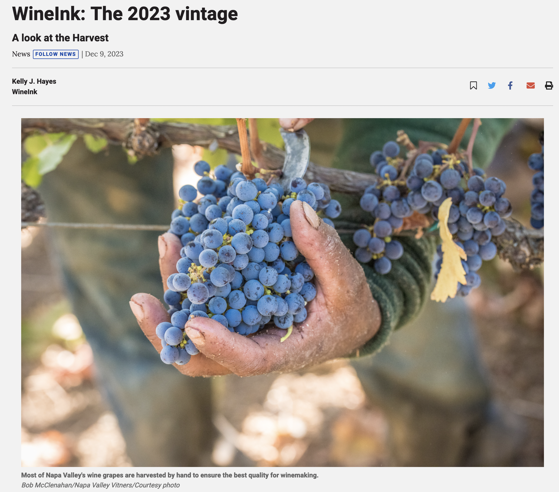WineInk: The 2023 vintage WineInk: The 2023 vintage