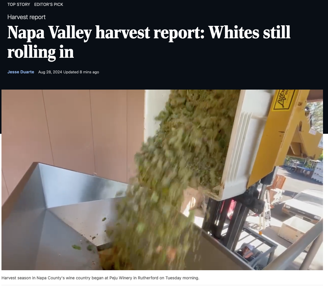 SH Star: Napa Valley harvest report: Whites still rolling in