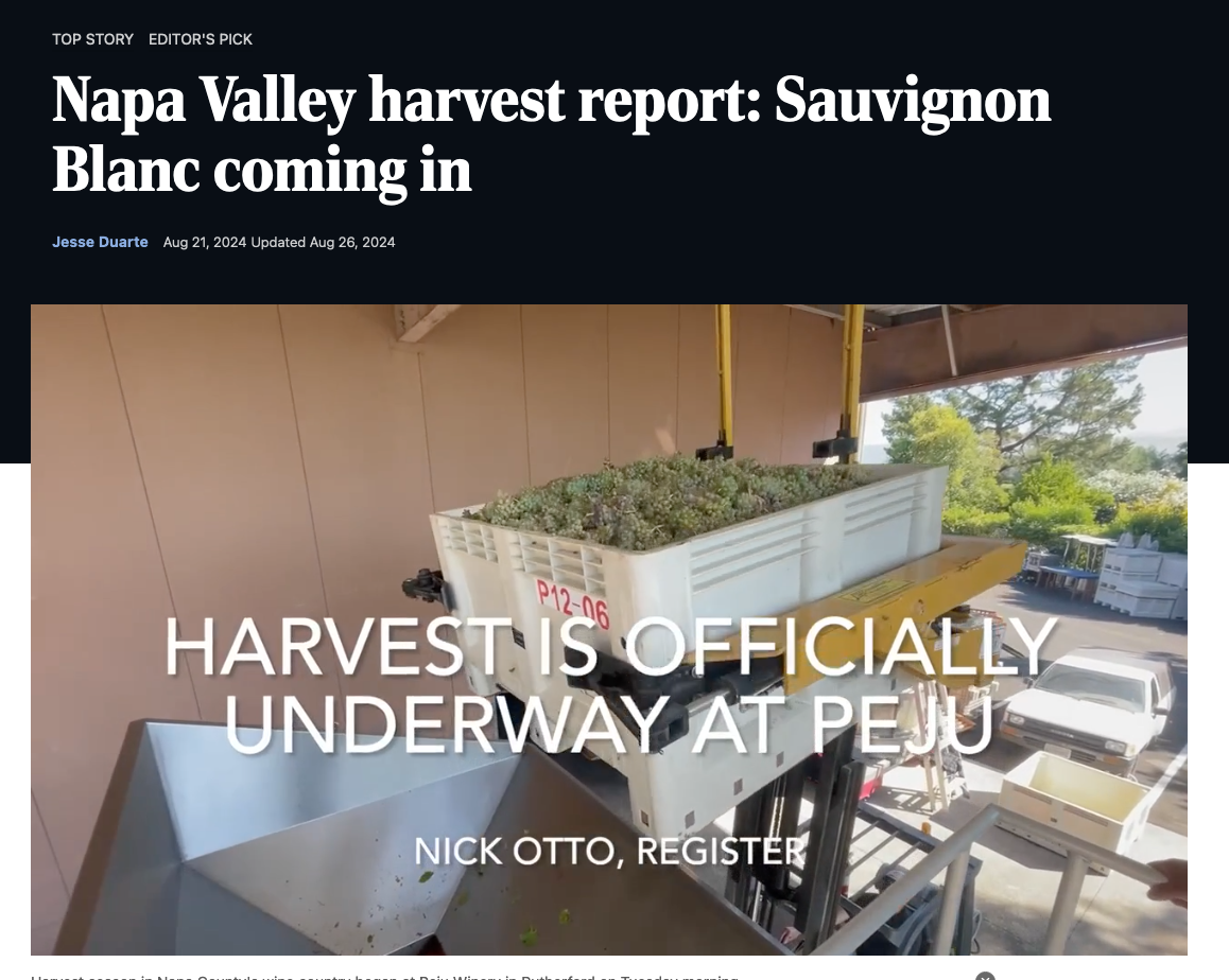SH Star: Napa Valley harvest report: Sauvignon Blanc coming in