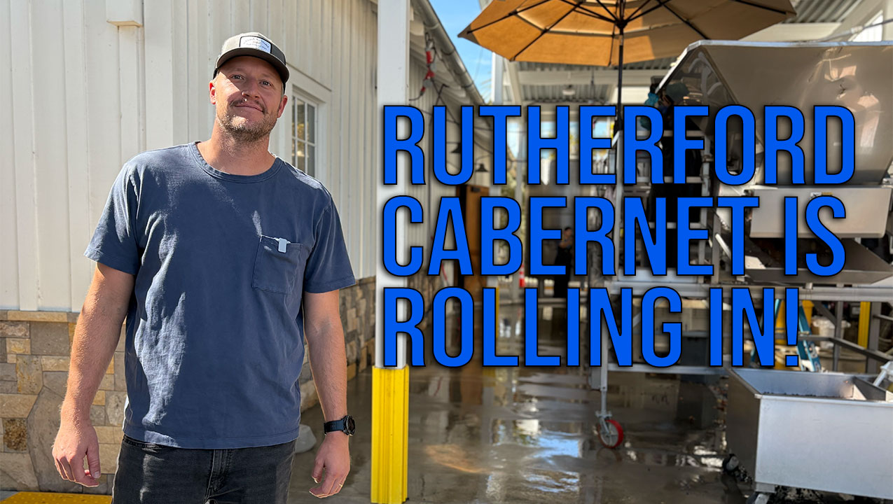 Rutherford Cabernet Comes In