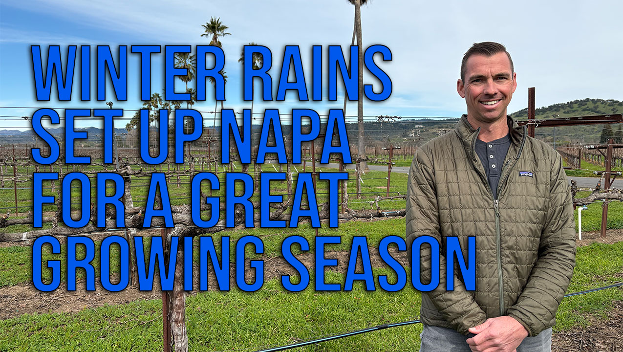 Rain, rain and a bit of dry weather make for a promising start to the 2026 growing season