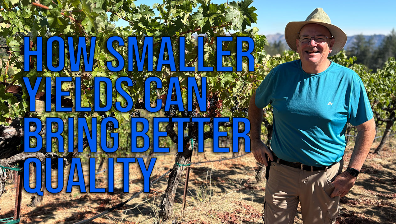 How Smaller Yields Can Impact Wine Quality