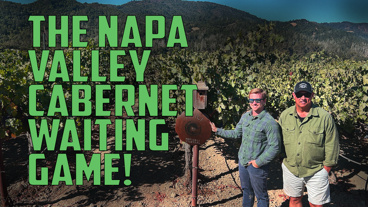 For Amici Cellars, the waiting is the hardest part! For Amici Cellars, the waiting is the hardest part!