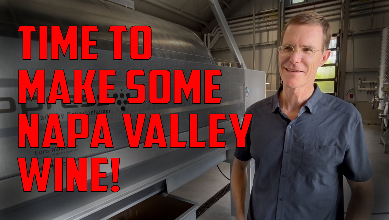 2024 Vintage update: Grapes are coming in!