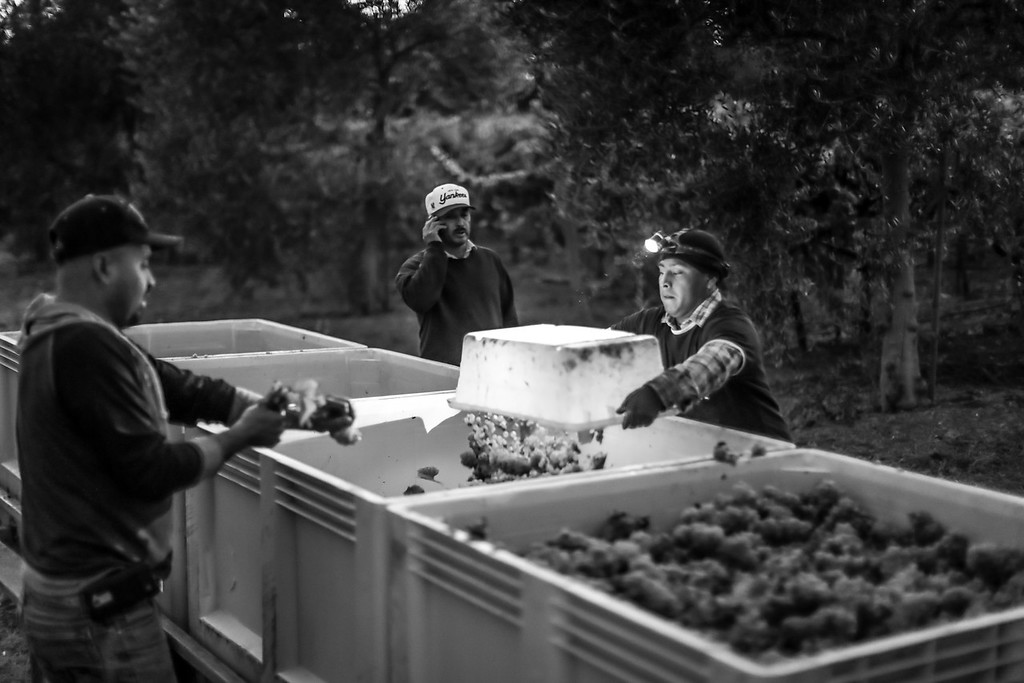 Powering on through Harvest