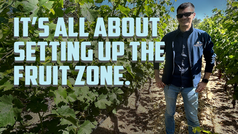 Bastien Lucas from Marciano Estate Talks “Fruit Zone”