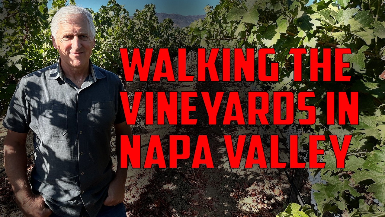 2024 Napa Valley Harvest Update with Richard Salvestrin